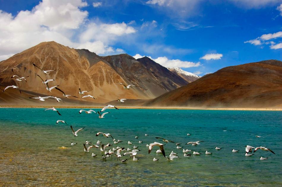 India Tours - Ladakh Tours, Ladakh Mountain Bike Tours, Nurba Valley Tours